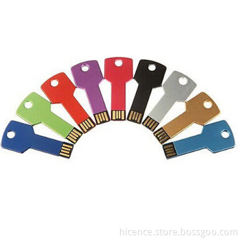 Metal Key Shape USB2.0 1GB Memory Flash Drive
